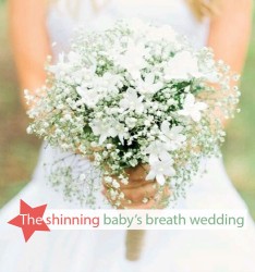 The shinning baby’s breath wedding**